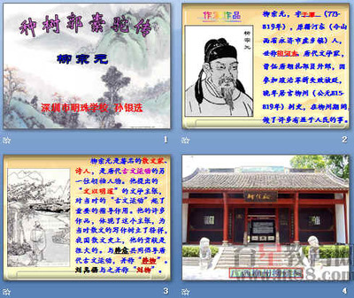 《种树郭橐驼传》PPT图文设计制作方案